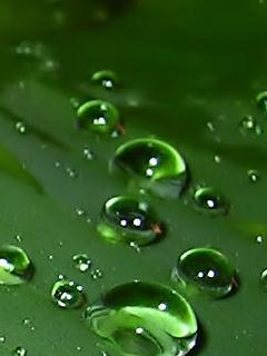 Other Wallpapers 0652